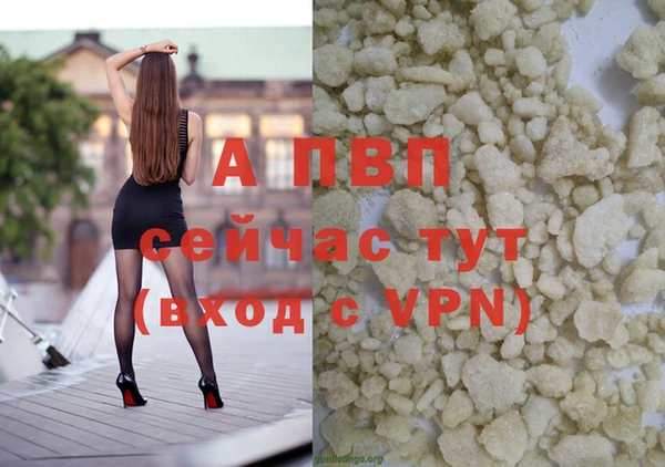 PSILOCYBIN Осинники