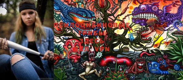 PSILOCYBIN Осинники