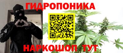 скорость Гатчина