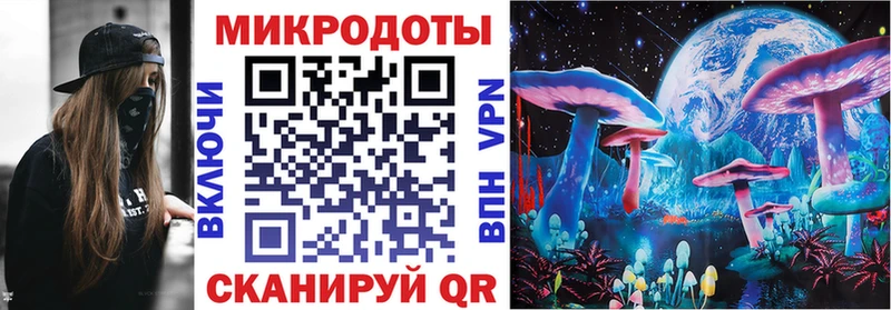 Псилоцибиновые грибы мицелий  Новотроицк 